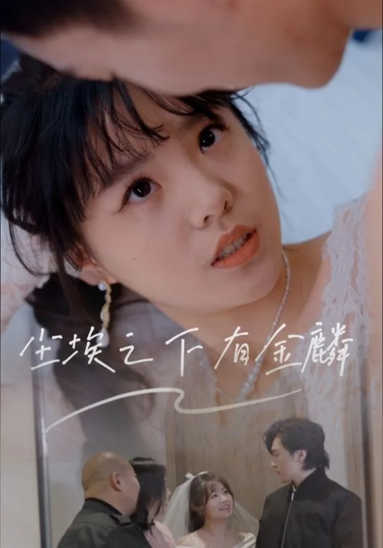 尘埃之下有金鳞 海报