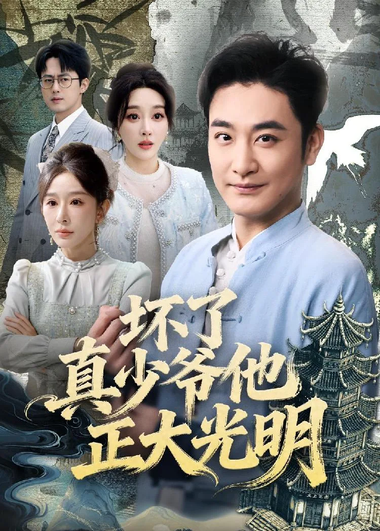 坏了真少爷他正大光明 海报