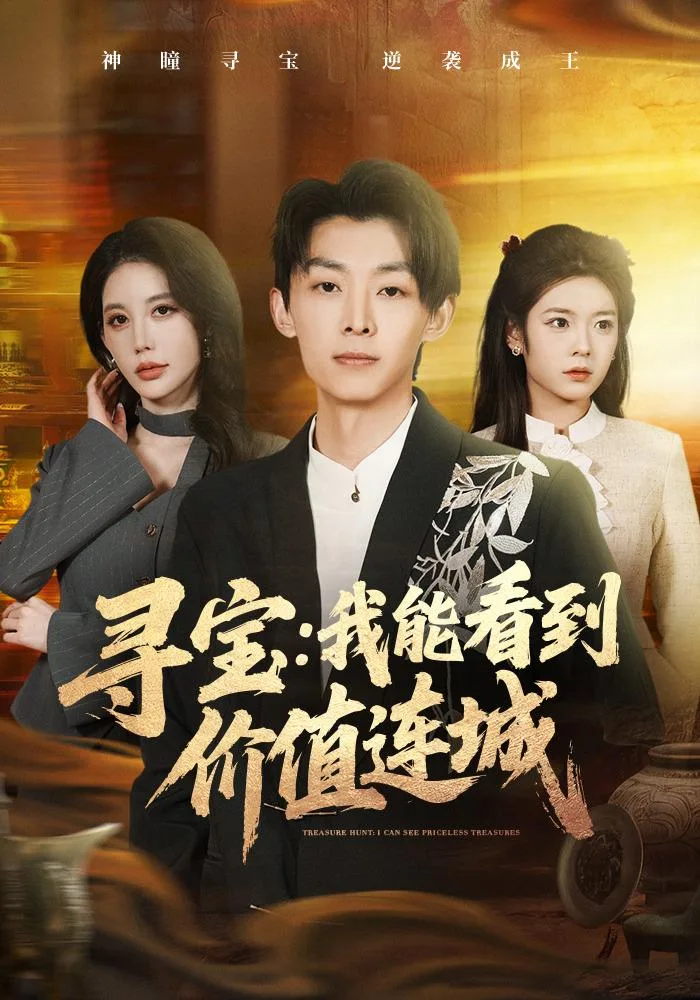 寻宝:我能看到价值连城 海报
